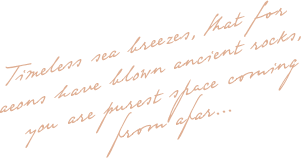 floating_image_02 https://artistryeventsconcept.ro/wp-content/uploads/2020/10/floating_image_02.png